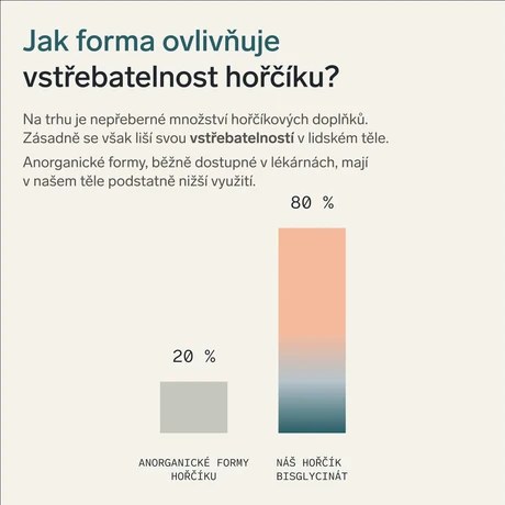 Hořčík bisglycinát (magnesium)
